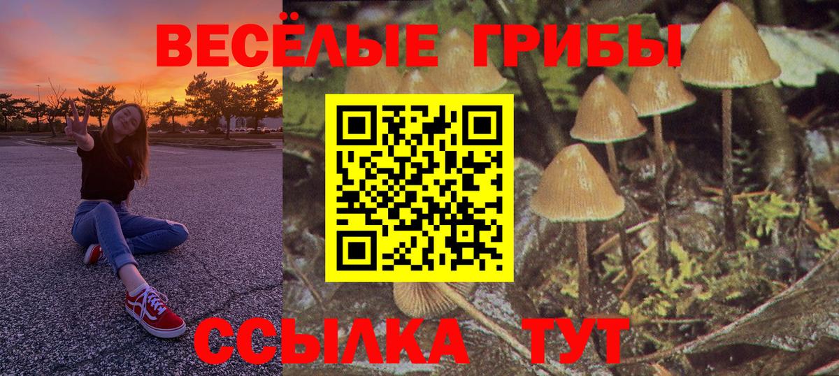 Галлюциногенные грибы мицелий Тихвин